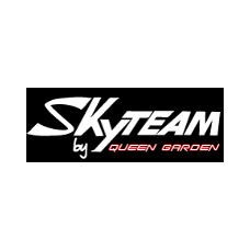 Logo SkyTeam
